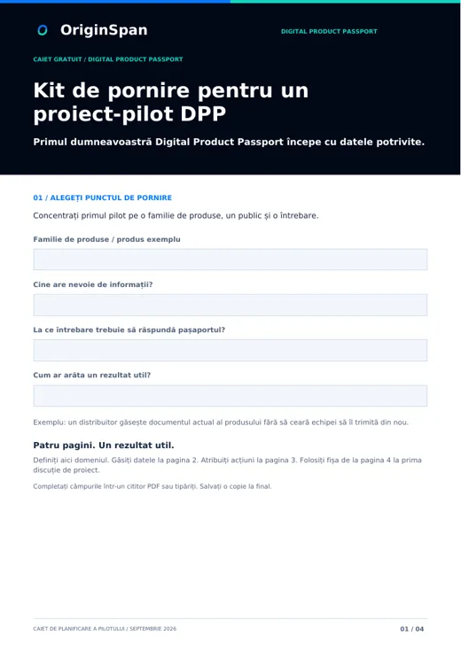 Kit de pornire pentru un proiect-pilot DPP